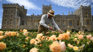 Заетостта в Обединеното кралство е спаднала рекордно между май и
