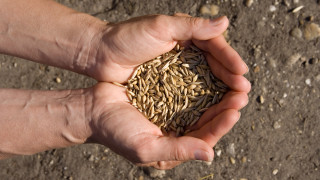 Брюксел удря Гърция с масивна глоба за измами свързана със