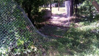 Около 40 души от гражданската организация Обединена София за пореден