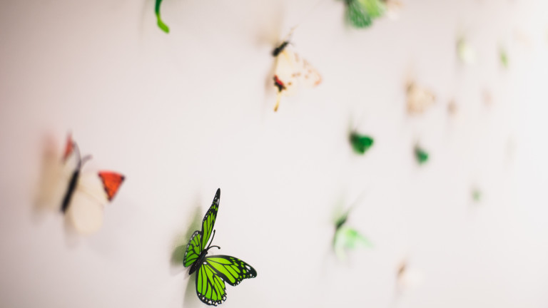 Изображение 442716