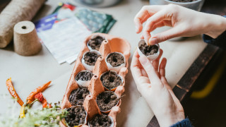 5 вида хранителни отпадъци, които да използваме за градината
