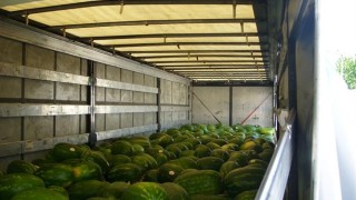 Установен е извършителят на кражба на голямо количество дини в