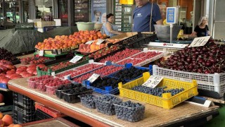 Произвеждаме 10 пъти по-малко плодове от преди