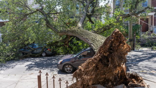 Вследствие на светкавичните наводнения загинаха най малко 44 души в четири