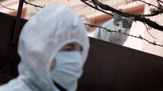 В Румъния са починали още шестима души заради новия коронавирус