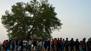 Хърватия изпрати над 5000 мигранти в Словения през нощта