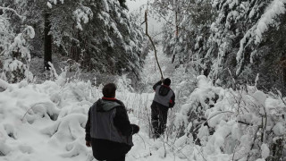 Жители на Кюстендил и малките населени места в района излязоха