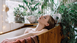 Големите декоративни растения като различни видове фикуси и палми са