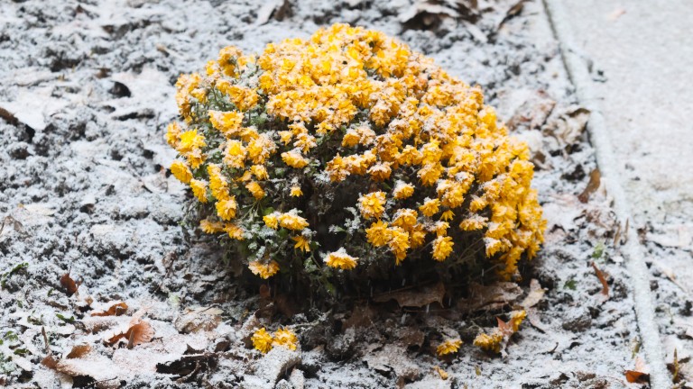 Изображение 697516