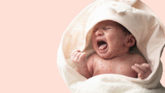 Морбилите нарастват, заболелите области се увеличават