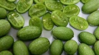 И това е диня макар да не прилича нито по