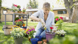  4 неточности на начинаещите градинари 
