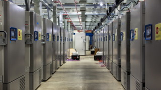 Бахрейн стана втората държава в света която одобри ваксината на