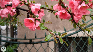 Дъжд и слънце се редуват