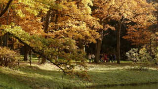 Днес преди обяд облачността ще е предимно значителна но ще