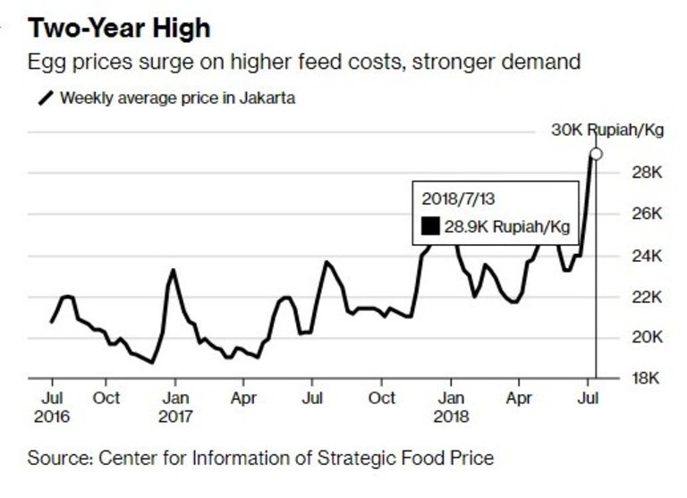 Цената на яйцата се повишава както заради търсенето, така и заради по-високите разходи за фуражи