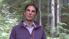 Александър Дунчев: Защо се връщат като директори на горите компрометирани кадри 