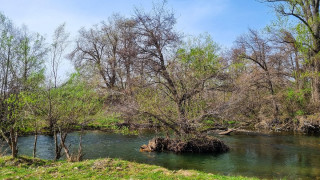 Акция по почистване на участък от река Искър ще се