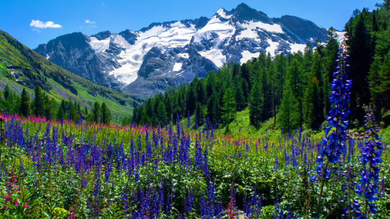 Колко точно струва цялата природа на Земята?