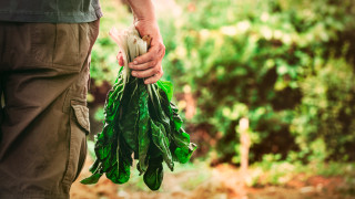В днешно време човек да може да открие всичко в