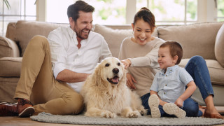 Изображение 611017