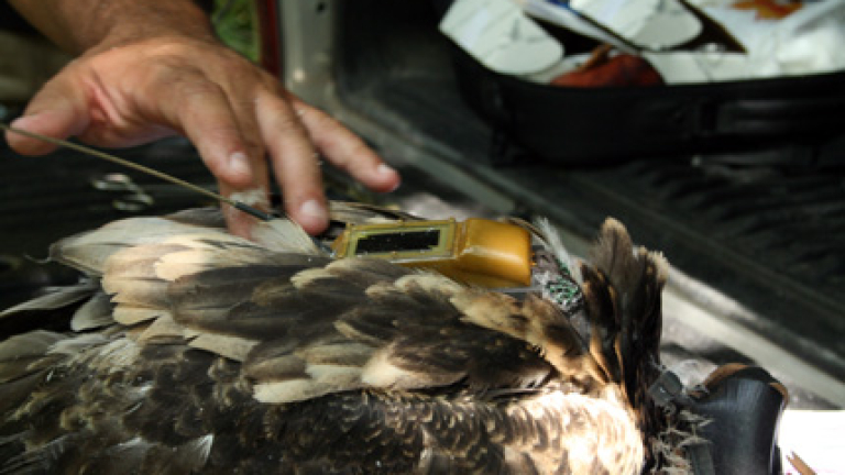 Изображение 121317