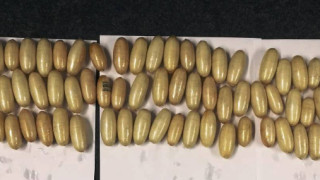 Гръцките гранични власти задържаха на летището в Атина 25 годишен бразилец