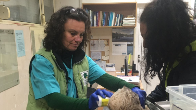 Изображение 512017