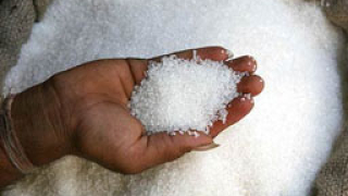 4200 кг. контрабандна захар хванаха във Варна