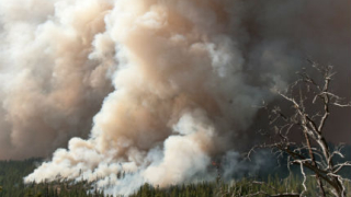 Пожар в Калифорния застрашава град Сан Андреас и гора с хилядолетни секвои