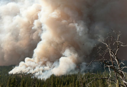 Пожар в Калифорния застрашава град Сан Андреас и гора с хилядолетни секвои