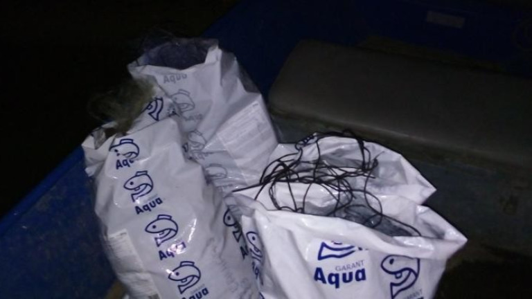 Изображение 613417