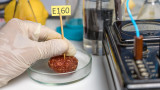  Съединени американски щати позволи на Upside Foods и Good Meat да продават лабораторно отглеждано месо 