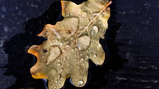 През започналото денонощие над по голямата част от страната ще се