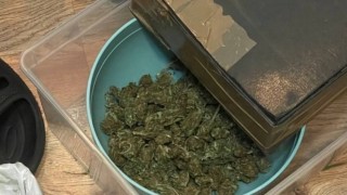 Спецакция срещу наркоразпространението се проведе в София Криминалистите предприели действия по