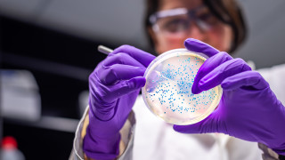 Появата на антимикробна резистентност включително резистентни към лекарства бактерии или