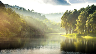 Изменението на климата ще повлияе неравномерно на европейската финансова система