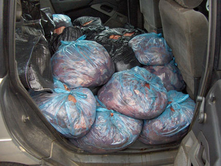 Иззеха 250 кг месо без документи в Кърджалийско 