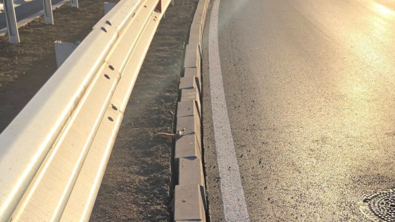 Изображение 745717