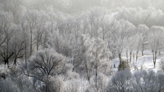 Мъж е починал от измръзване в Сърбия след като студена