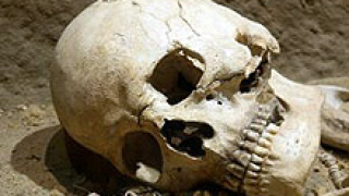 Ловци откриха човешки останки край Павликени
