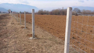 Всички 31 електрически стълбове в участъка от път I 6 Кюстендил