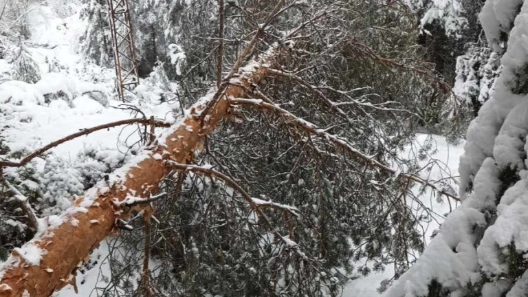 Изображение 646417