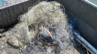 37 незаконни мрежи откриха при проверки в Бургаско