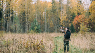 По предложение на изпълнителния директор на Изпълнителната агенция по горите