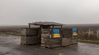 В неделя в Деня на майката инициативна група от майки