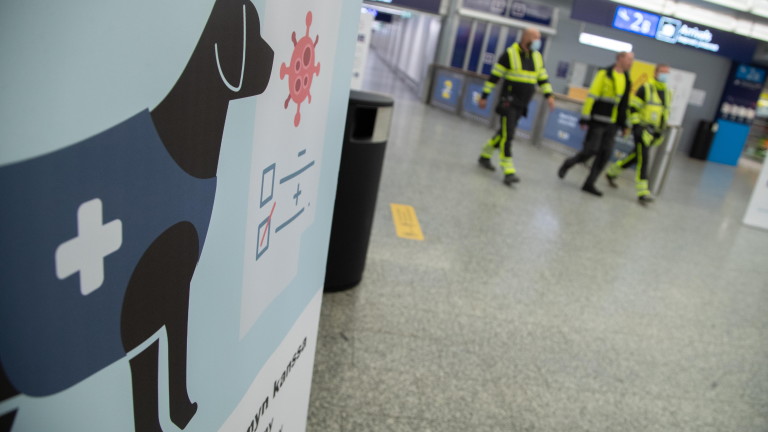 Финландия разположи кучета, подушващи коронавирус, на главното международно летище в