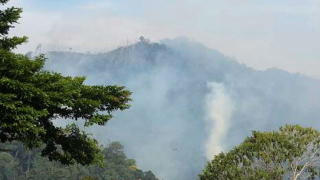 Горски пожари в Гватемала застрашават резерват на маите