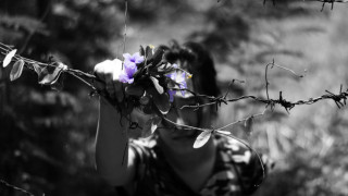 Трафикът и трудовата експлоатация се увеличават в Европа според нов