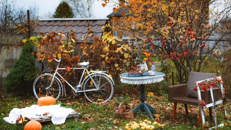 Изображение 738917